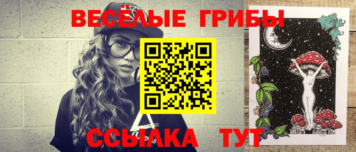Бердск  Галлюциногенные грибы GOLDEN TEACHER  Вход с VPN 