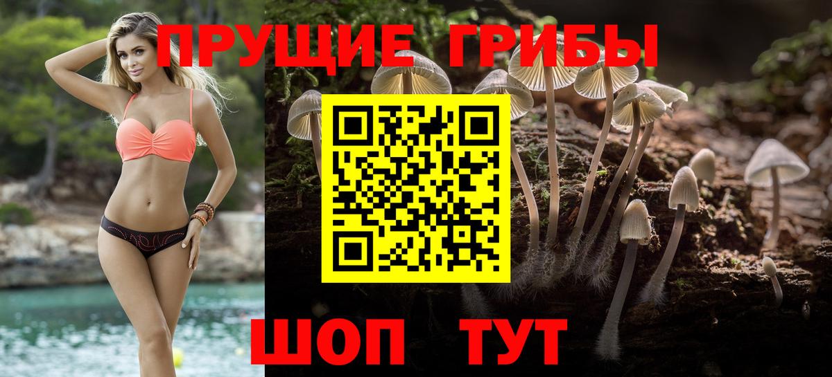 NBOMe Бердск